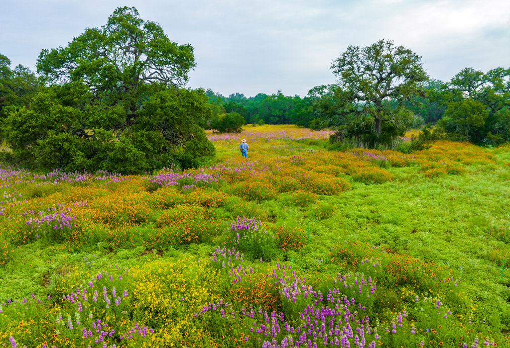 Blake Murden stands in field of wildflowers in large oak trees in the background. 